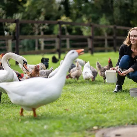 Schlossresidenz - Boutique & * Garbsen